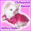 Chihuaclub Vellory style/Чихуаклуб Веллори стайл